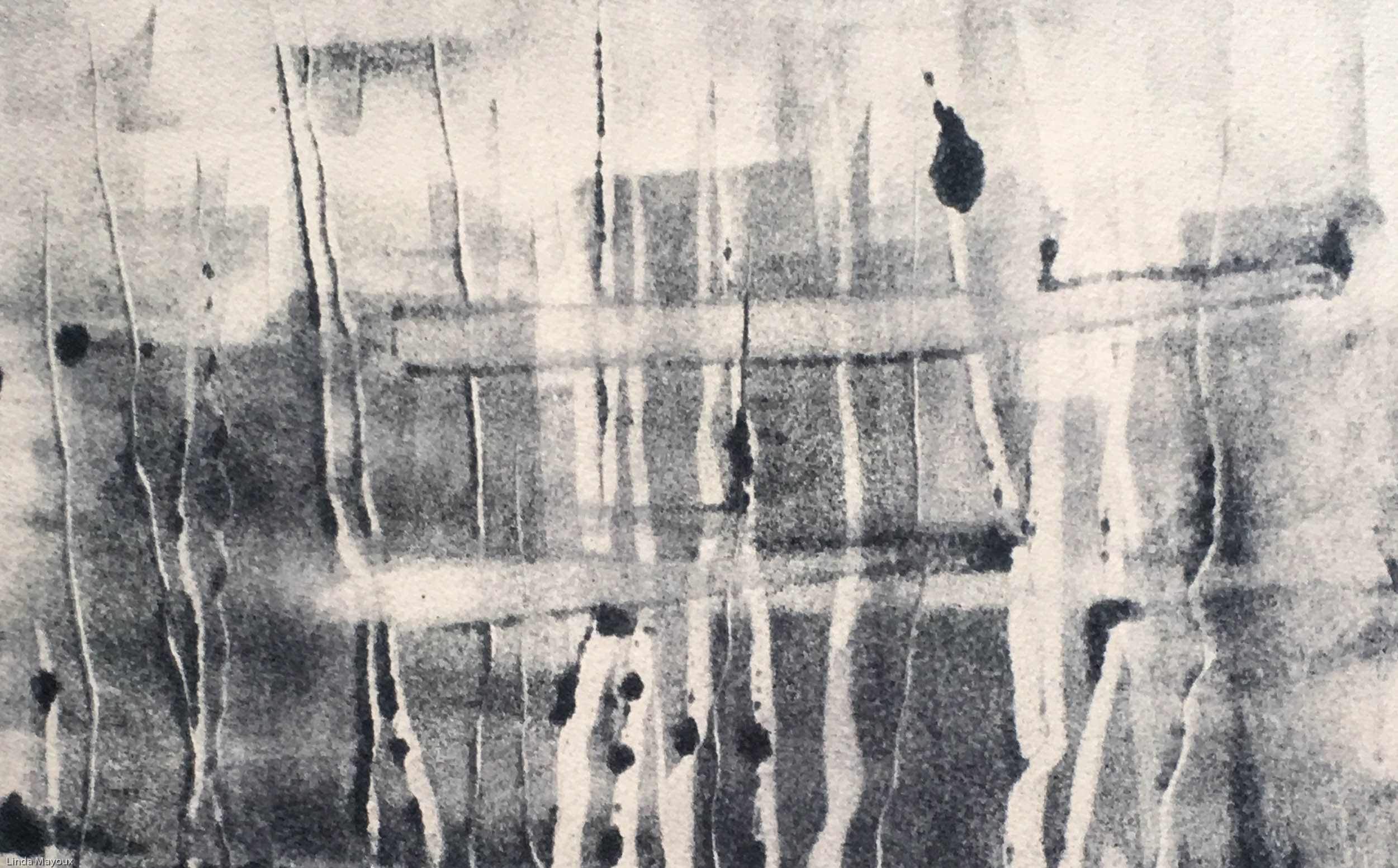 Willows Moonlight Crop